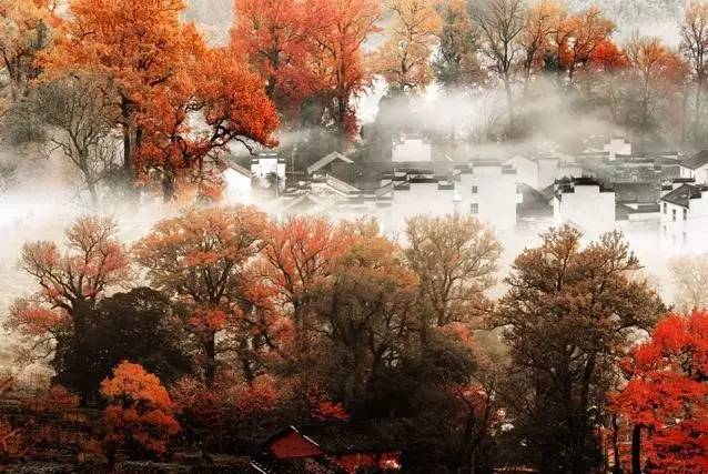 秋天最美婺源,秋季的婺源据说很美