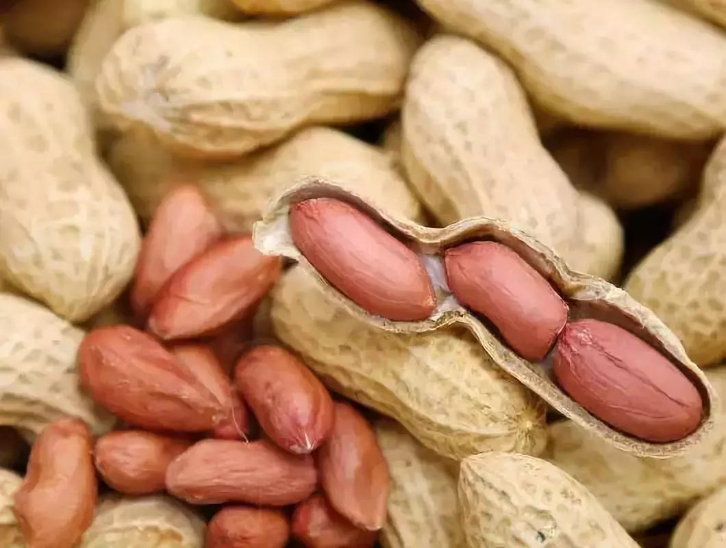 需要忌口的发物有哪些,发物的忌口有哪些