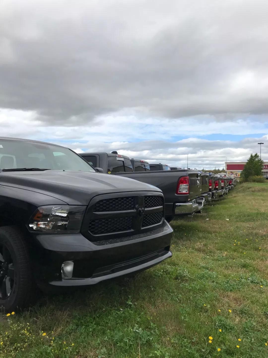 新移民买二手车,新移民买车