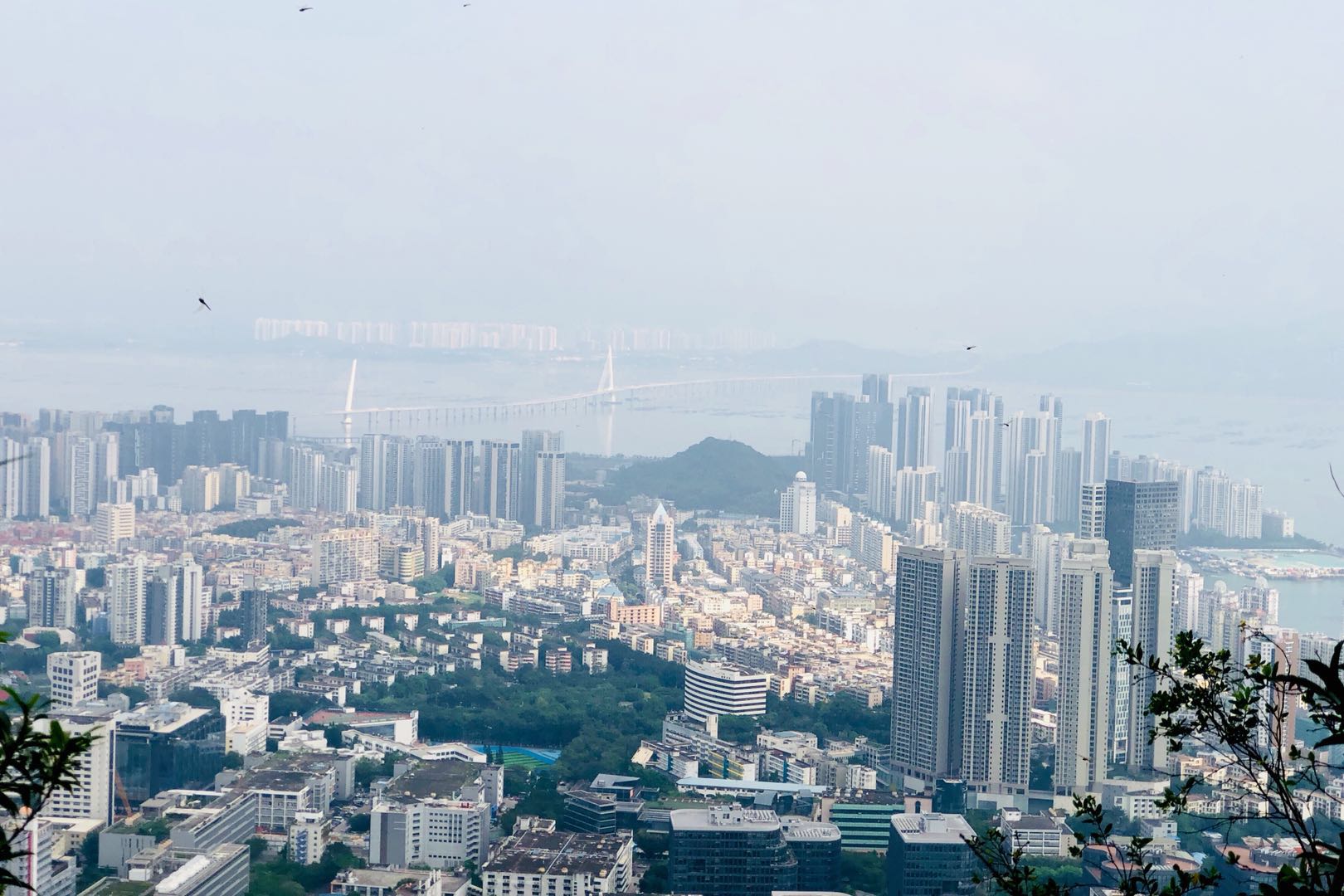 深圳南山周末玩乐推荐,深圳南山中山公园一日游攻略