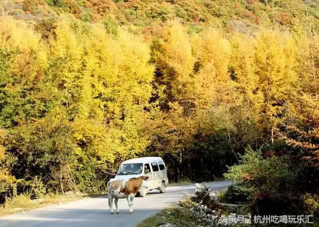 太行山最美免费挂壁公路,隐藏在太行山深处的最美螺旋公路