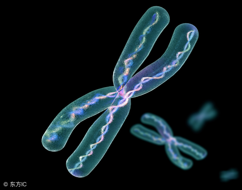 “神药”驾到，癌症将被攻克？