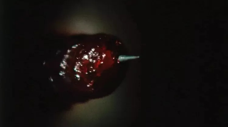 突变、寄生、改造，感受这个加拿大怪咖带给你的极致肉体恐怖