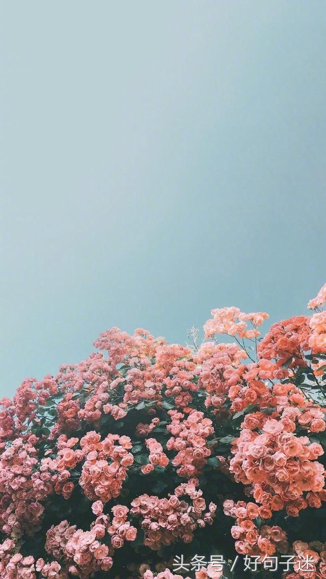 精辟有深度的签名,心情语录精致走心句句说到心窝上