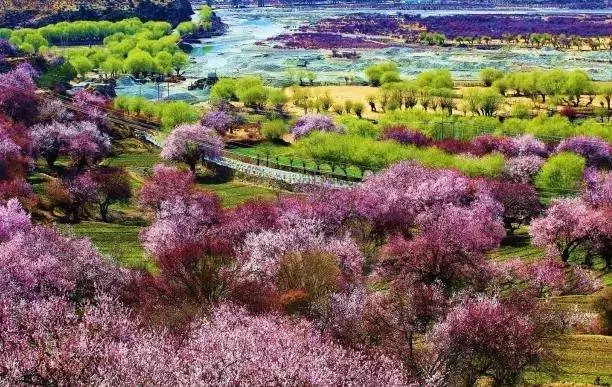 藏西的风景,藏西有哪些景点