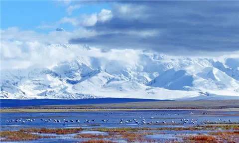藏西的风景,藏西有哪些景点