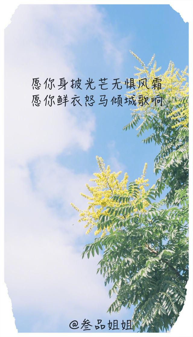 愿你鲜衣怒马无惧风霜,愿你鲜衣怒马无惧风霜什么意思