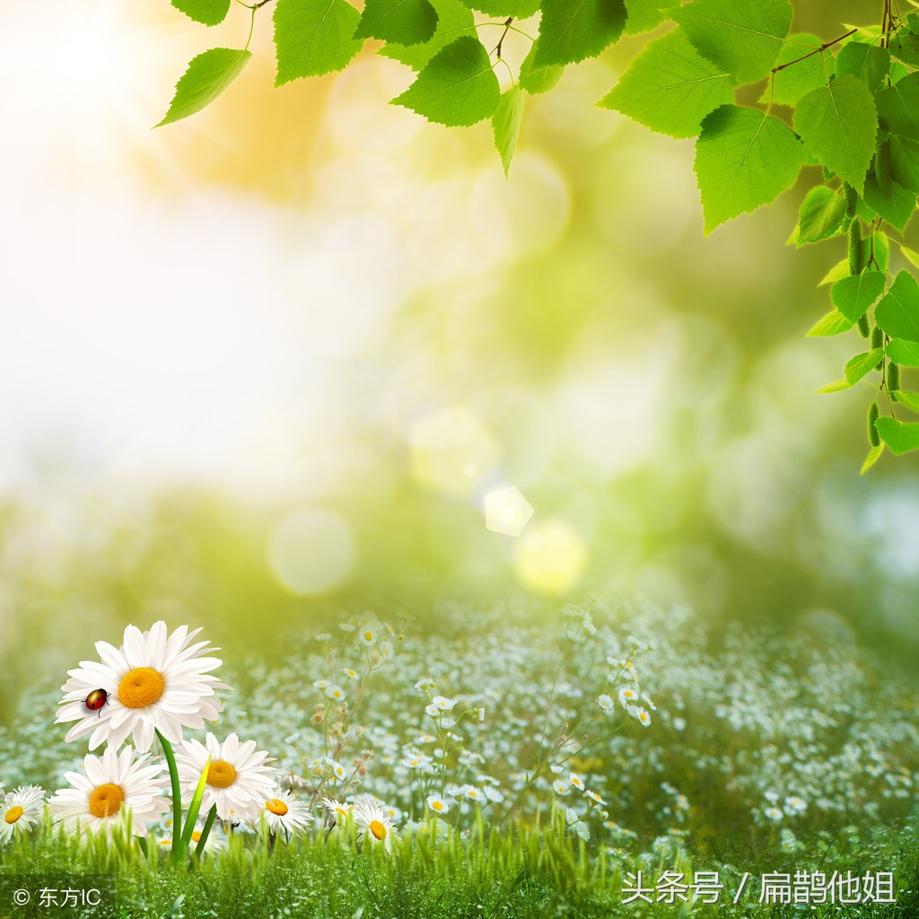 魔鬼就在你的身边,臭氧污染的危害及防范措施