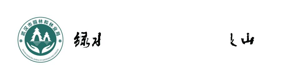 松材线虫病如何防治和处理,松材线虫病防治方法