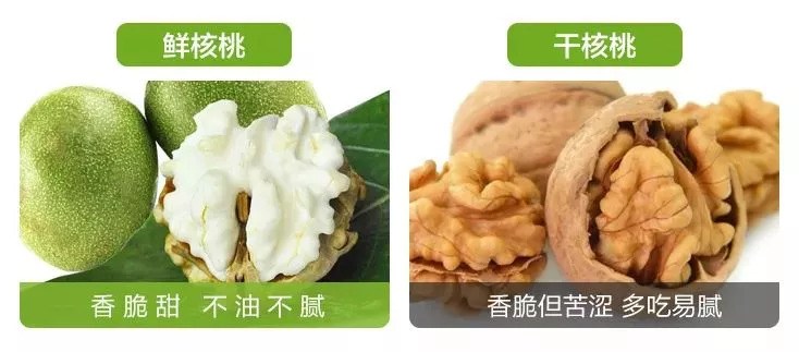 此物号称植物界的唐僧肉！补大脑，益心脏还能缓解失眠！