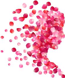 广东省中医院妇科专家王小云,广东中医院王小云视频