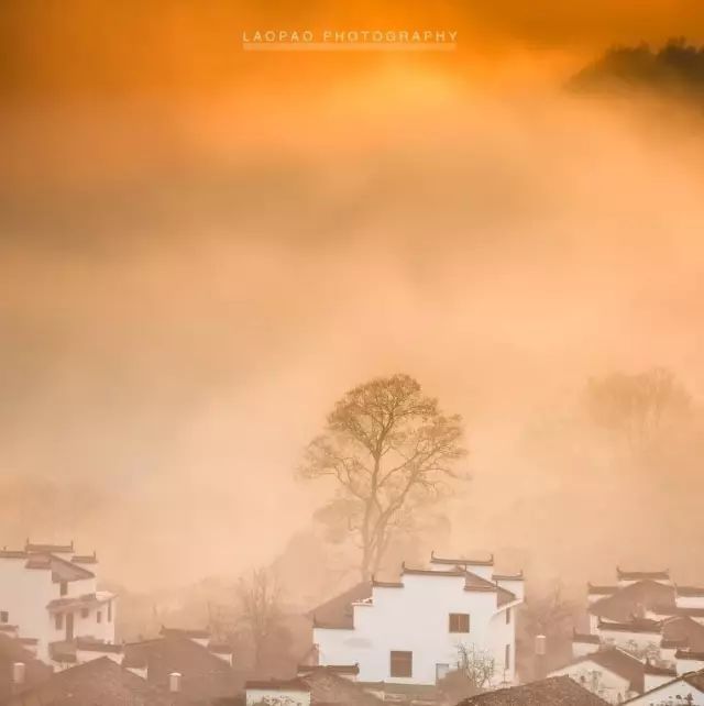 婺源的秋天真美,秋天的婺源什么时候去最美