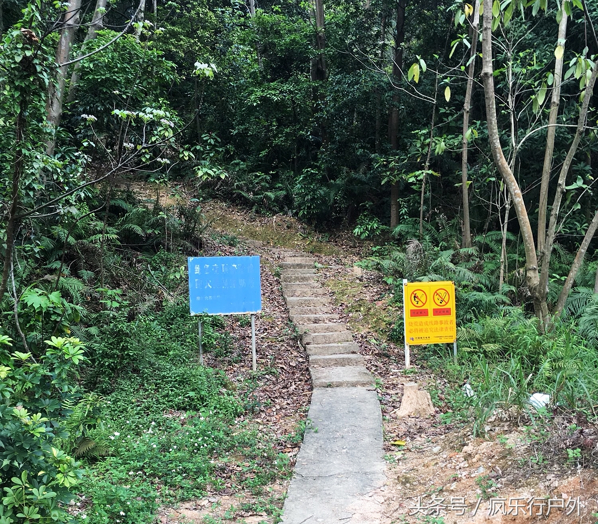 广东中山的五桂山秘境,中山煎鱼湾的入口