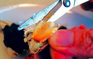 「健康」你真的会吃螃蟹？这四个部位万万不能吃！