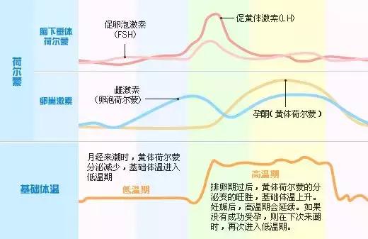 月经量少排毒不好怎么办,月经毒素排不出怎么办