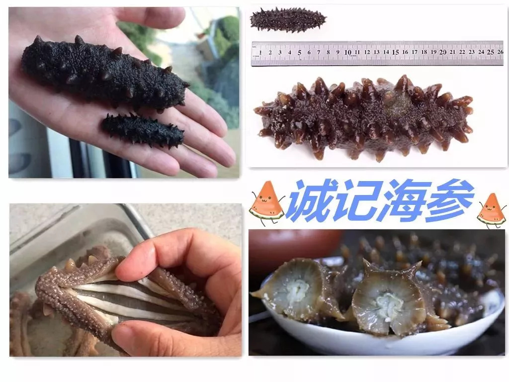 66岁母亲买海参,66岁母亲卖海参