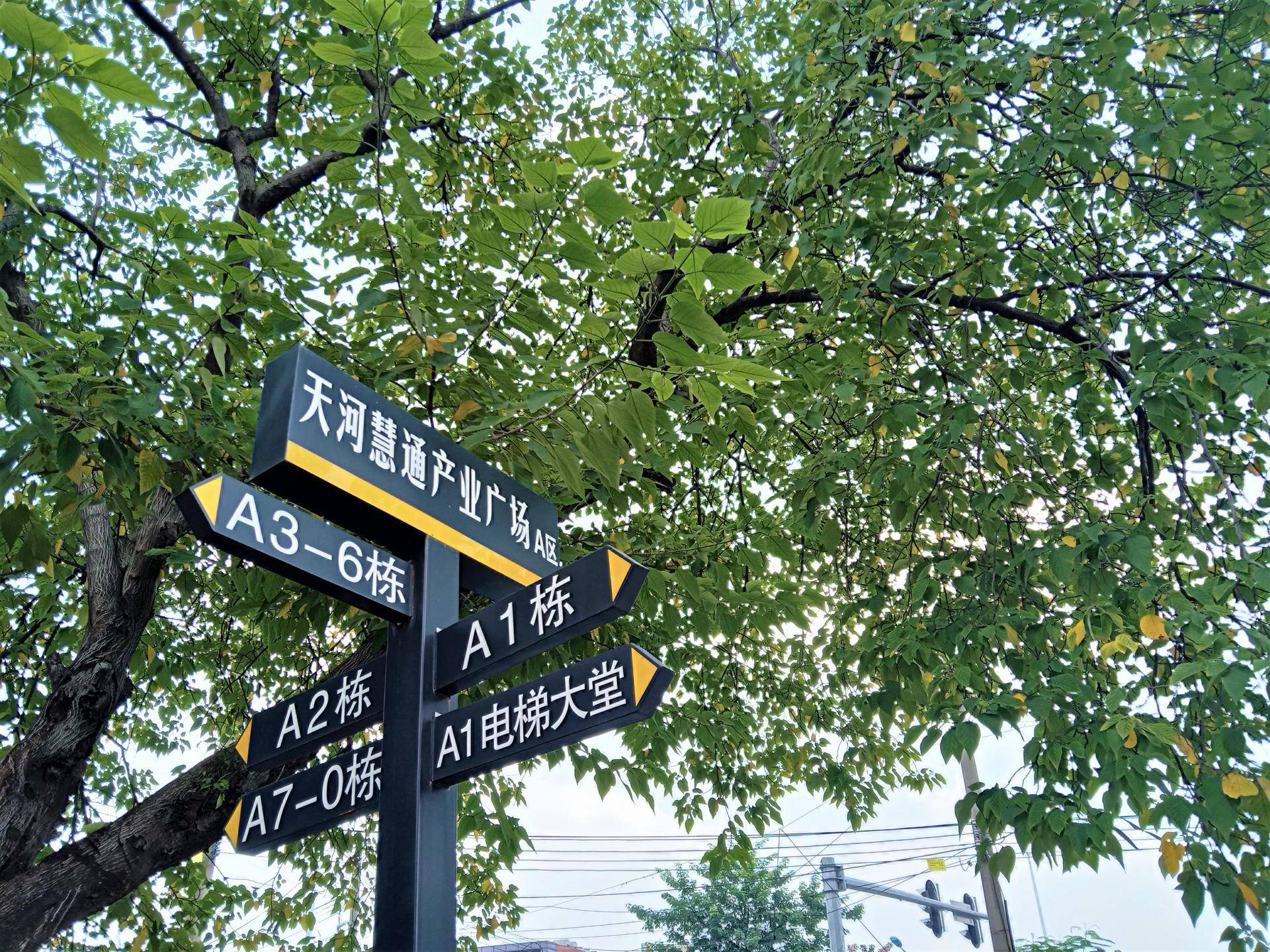 vivoy81s性能怎么样,vivoy81s原神测评