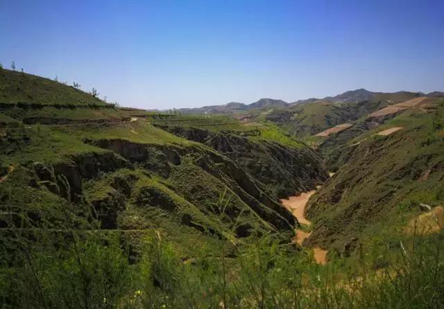 热烈祝贺土狗云商城与西部粮仓达成战略合作