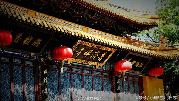 宁波舟山普陀山旅游团报团两日游,普陀山两日游住岛上好还是外面好