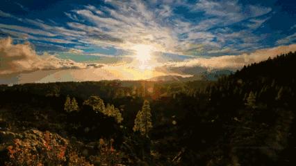 西安打卡公园必去的地方,西安打卡风景公园
