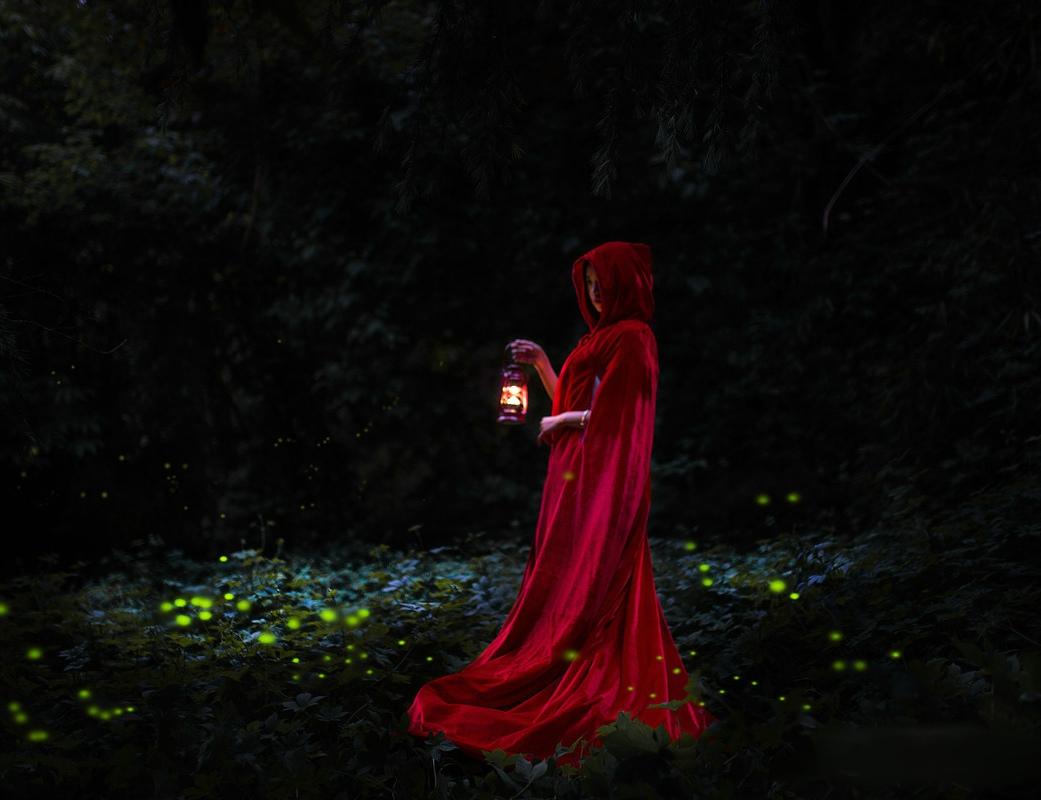 您知道《周易》“离”卦原来与火、鸟和牛有关系吗？