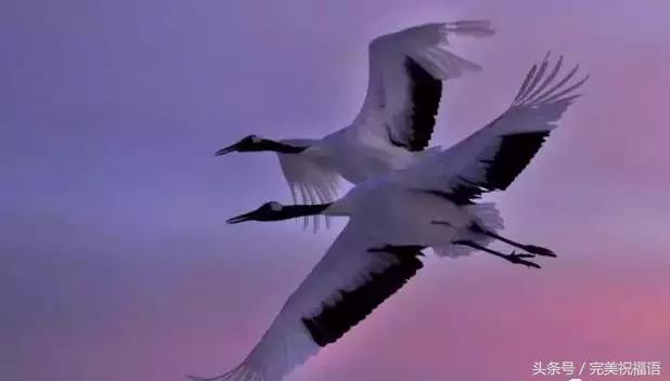 今天9月12日，千年一遇的双福日，双倍祝福送给朋友们愿你幸福久久