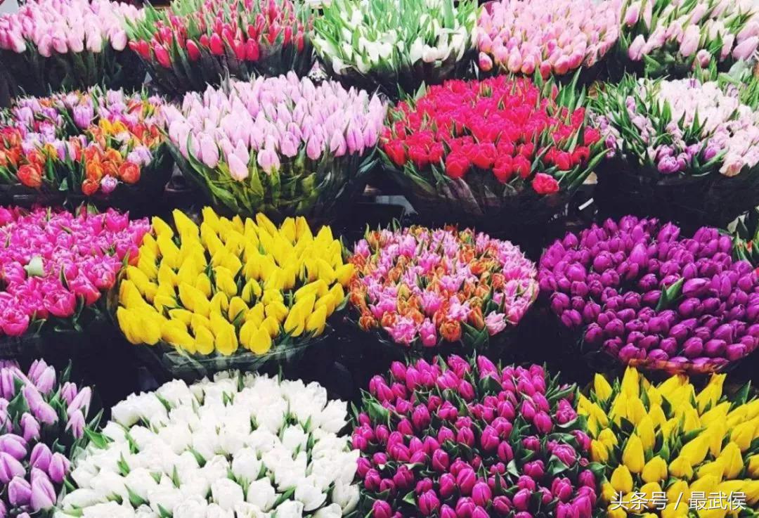 成都最省钱的攻略,成都出行攻略最全推荐