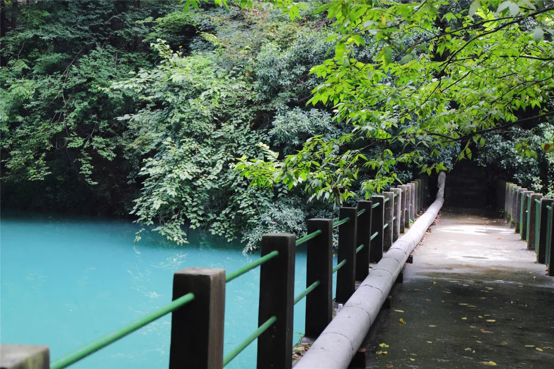 杭州3天2夜｜西子湖畔，脚步丈量这座底蕴深厚的城-爱野精品民宿