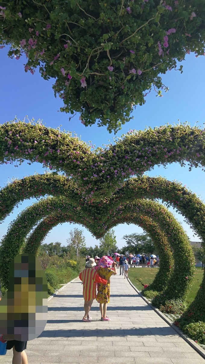 寻秦记旅游,寻秦记自驾旅游