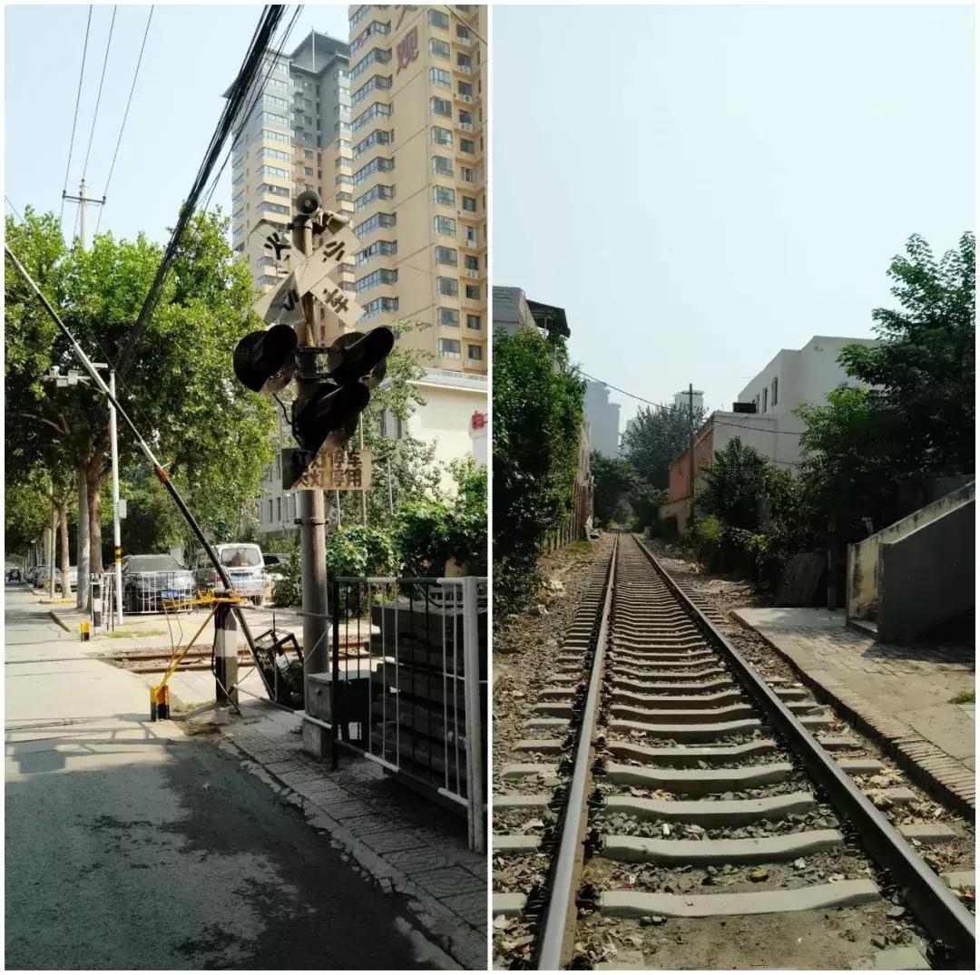 在中南青樾我看到了这些（上篇）｜房哥消费者报告21期