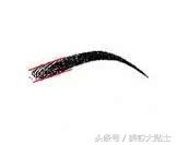 骨相明显的人怎么画眉毛,怎么才能知道什么眉形最适合你