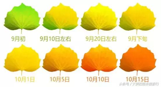 额济纳旗旅游安排时间表,额济纳旗旅行全攻略