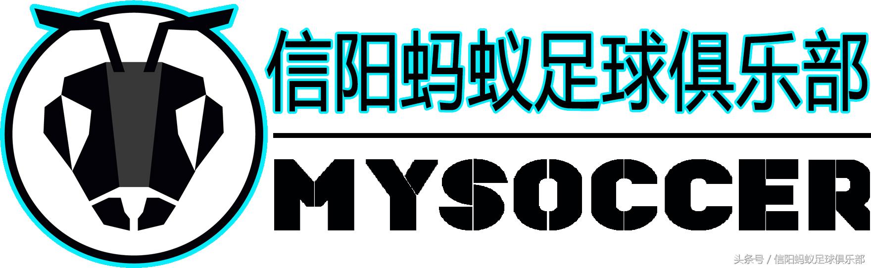 信阳大黄蜂足球,河南信阳蚂蚁足球俱乐部