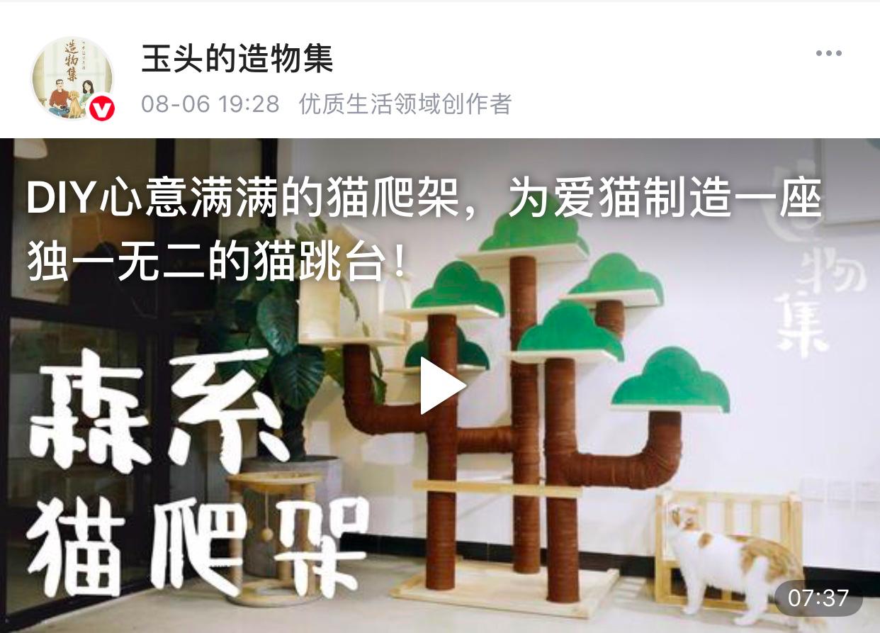 生活视频创作者,生活领域视频创作者收入