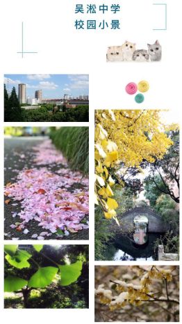 宝山这所学校被教育部点名表扬！是你的母校吗？