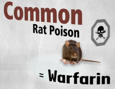 老鼠药差点毒死全村,老鼠药毒不死人