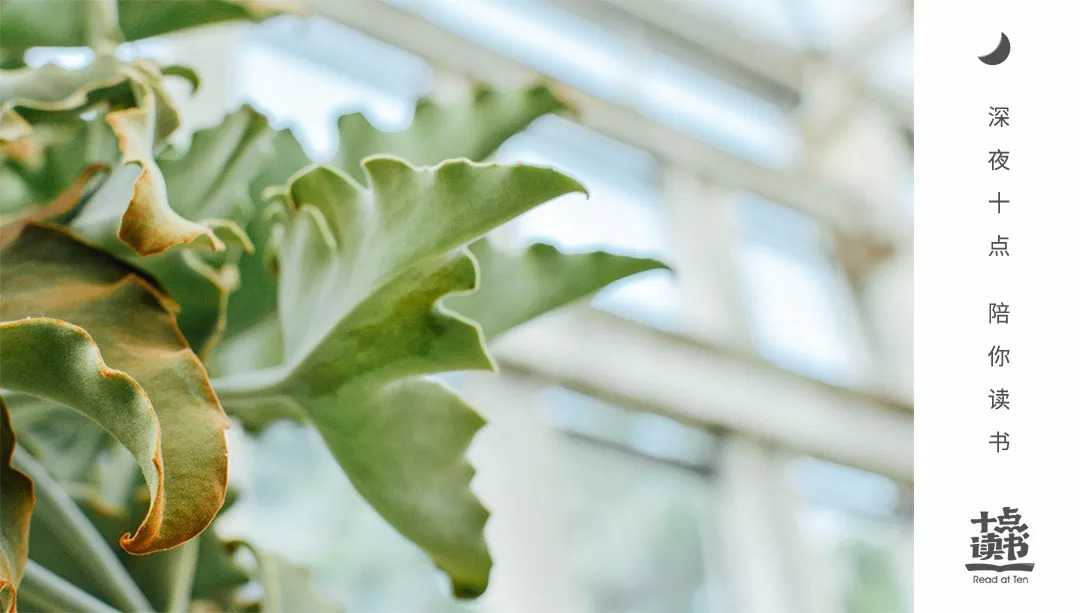 你有多可爱婚姻就有多幸福,你有多可爱婚姻就有多可爱