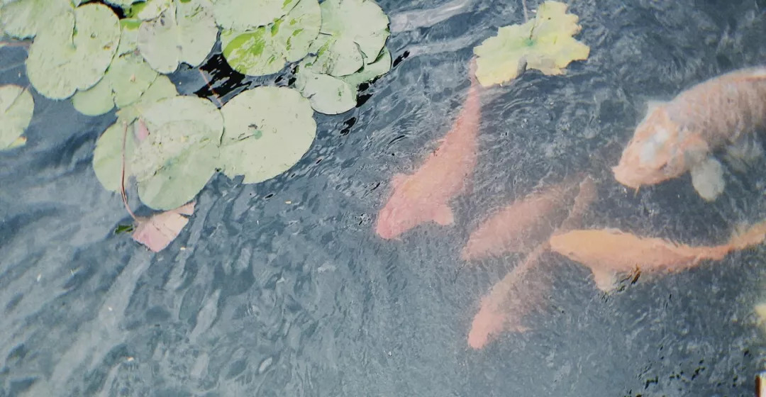 优衣库儿童速干衣,优衣库好看的宝宝装