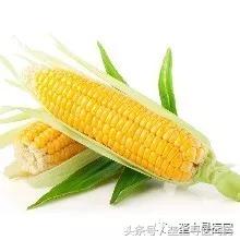 视觉盛宴!速来围观!现场直播腹腔镜胆囊切除术全过程!