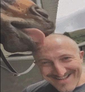 人体哪个部位让你，忍不住伸出舌头，想舔……｜从5500万年前说起