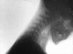 人体哪个部位让你，忍不住伸出舌头，想舔……｜从5500万年前说起