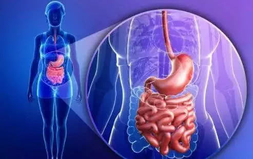 三天了没排便是什么情况,几天没排便了有什么妙招