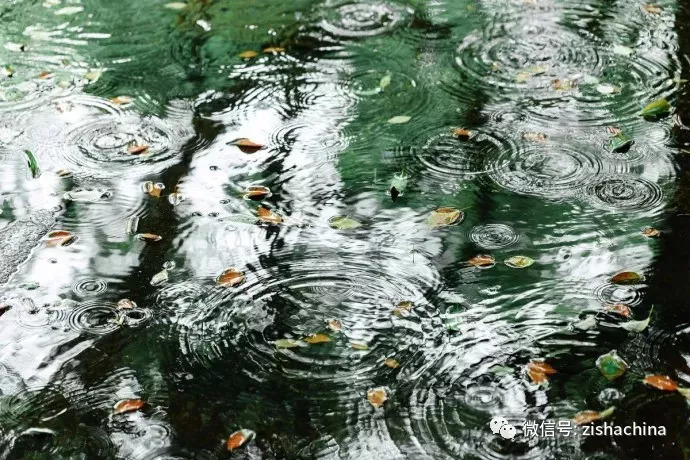 没有净土只好静心,没有净土不如静心