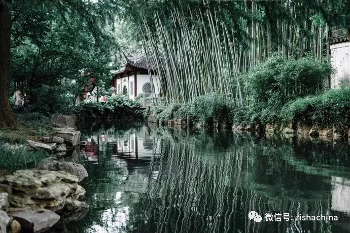 没有净土只好静心,没有净土不如静心