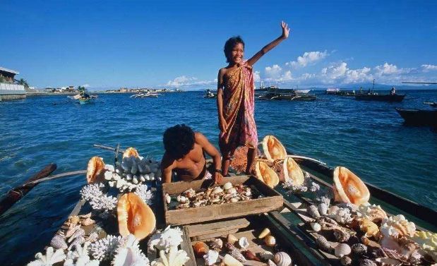 泰国商家将鲍鱼卖成了白菜价，中国游客表示：还要“作”？