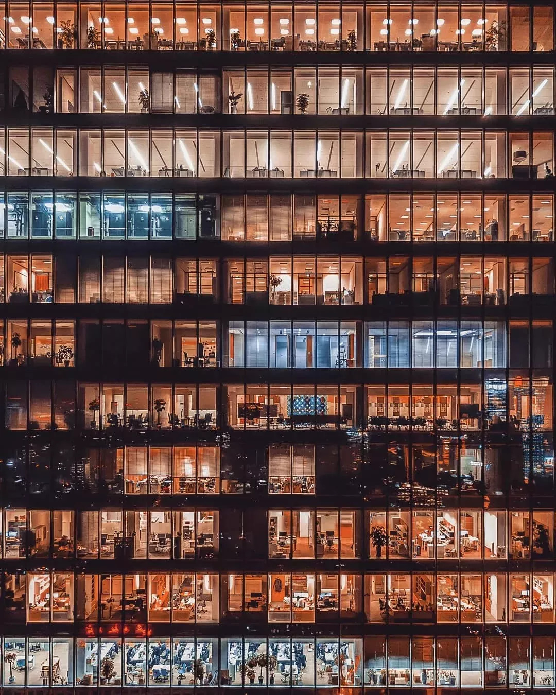 上海大量美照曝光,上海惊艳视频