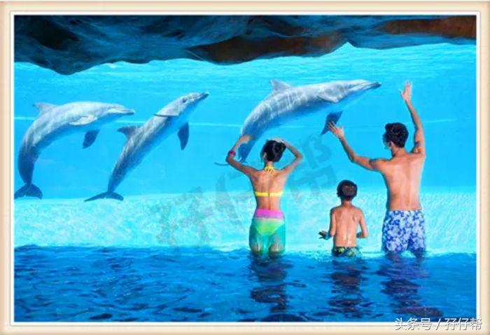 珠海长隆海洋王国不住酒店攻略,珠海长隆海洋王国横琴湾亲子攻略