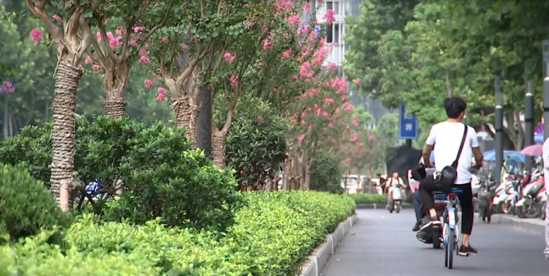 合肥老城中心规划,合肥老城更新规划