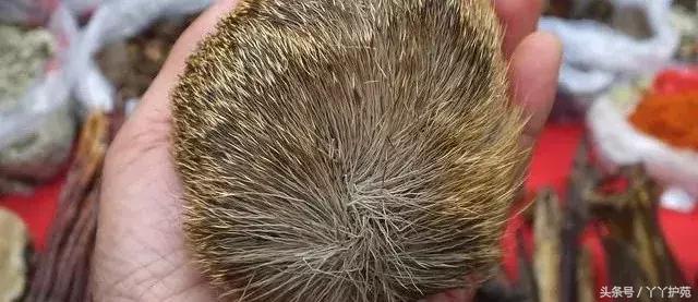 一副中药30多味药是大方子吗,一个方子30多味中药