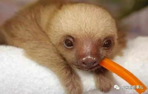 ta身上最吸引你的地方,天蝎男让人着迷的闪光点